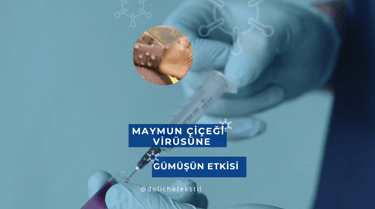 Maymun Çiçeği Virüsü