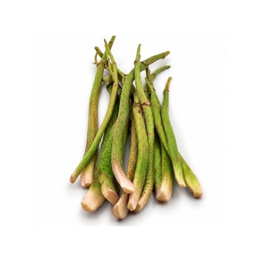 Işkın Otu 500g