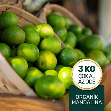 Organik Mandalina Paketi 3 Kg