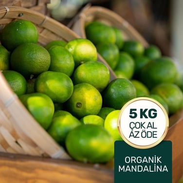 Organik Mandalina Paketi 5 Kg