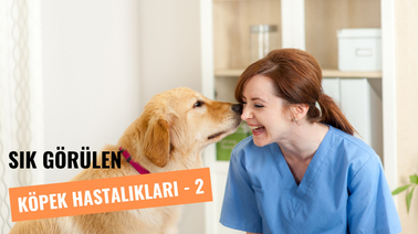 Köpeklerde Sık Görülen Hastalıklar - Bölüm: 2