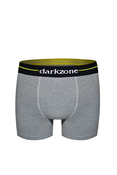 boxer
