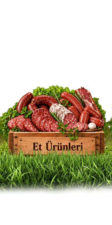 Et Ürünleri