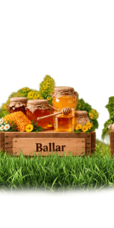 Ballar