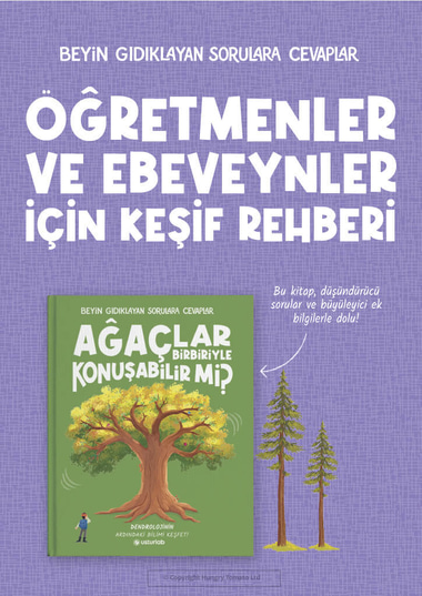Kitap Kapagi 3