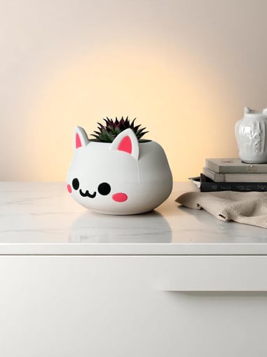 Kawaii Kaktüs