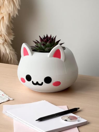 Kawaii Kaktüs