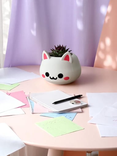 Kawaii Kaktüs