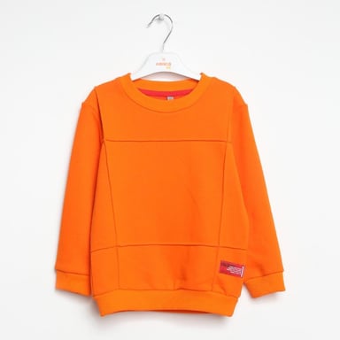 Boys CrewNeck Sweatshirt Ages 1–5 – 322304