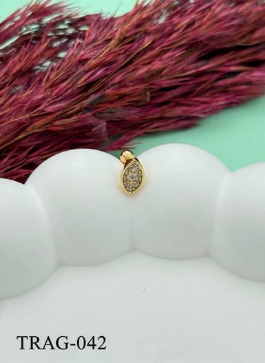 Çelik Tragus // TRAG-042.TRAG-042