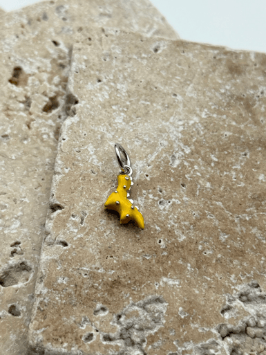 PNDR Charm // CHARM-757.CHARM-757
