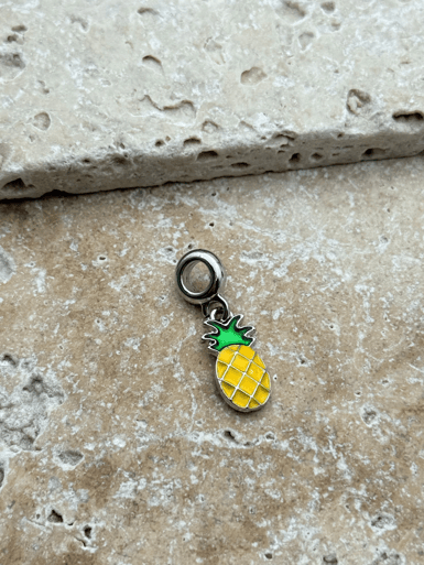 PNDR Charm // CHARM-767.CHARM-767