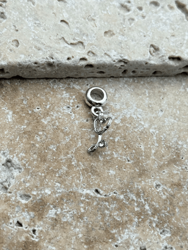 PNDR Charm // CHARM-774.CHARM-774
