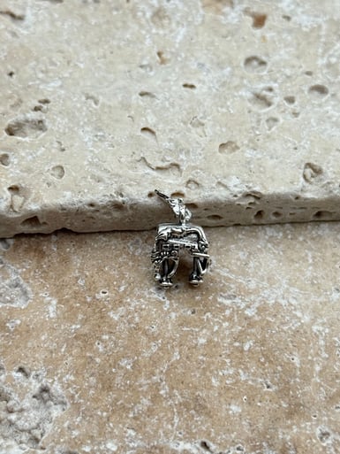 PNDR Charm // CHARM-780.CHARM-780