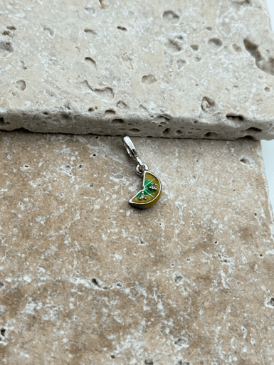 PNDR Charm // CHARM-811.CHARM-811