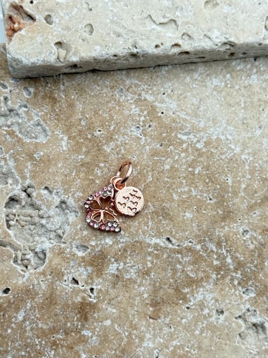 PNDR Charm // CHARM-869.CHARM-869