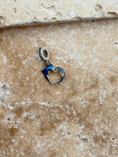 PNDR Charm // CHARM-877.CHARM-877