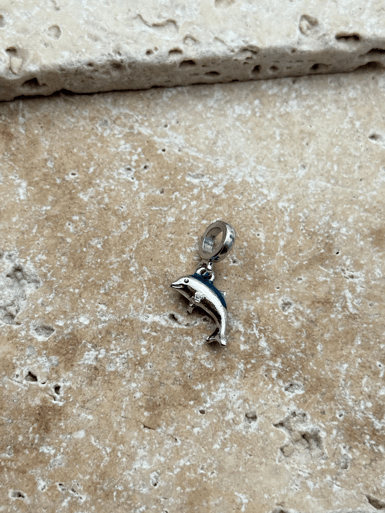 PNDR Charm // CHARM-943.CHARM-943