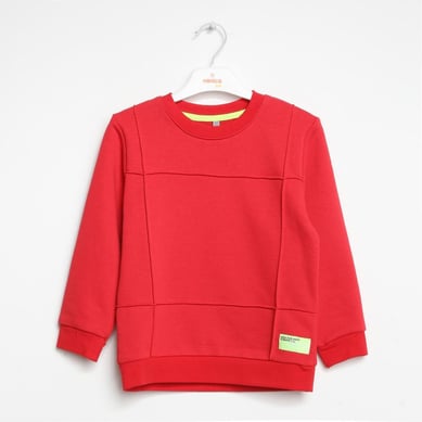 Boys CrewNeck Sweatshirt Ages 1–5 – 322304