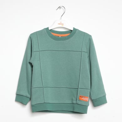 Boys CrewNeck Sweatshirt Ages 1–5 – 322304
