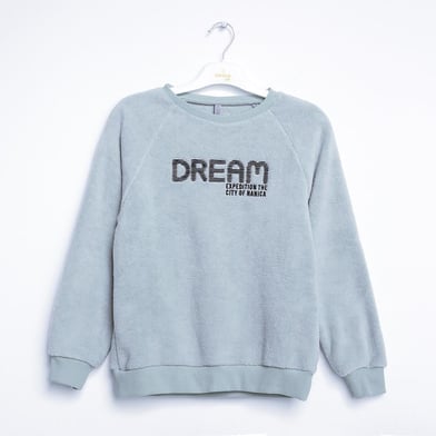 Erkek Çocuk Peluş Sweatshirt 1-5 Yaş - 322316
