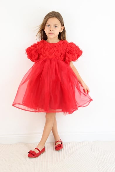 Red Rose Detailed Tulle Skirt Girls Dress - Nelia