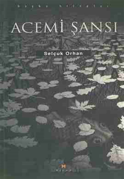 Acemi Şansı Selçuk Orhan Birun Yayınları