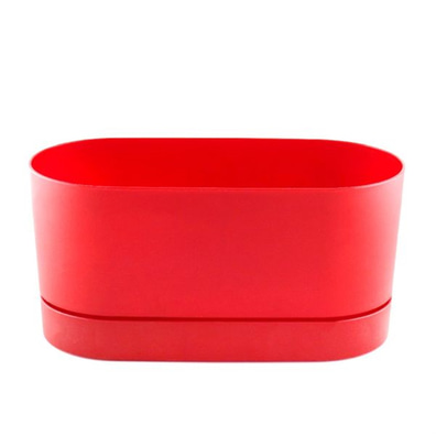 Begonya Balkon Saksı Bordo 30cm