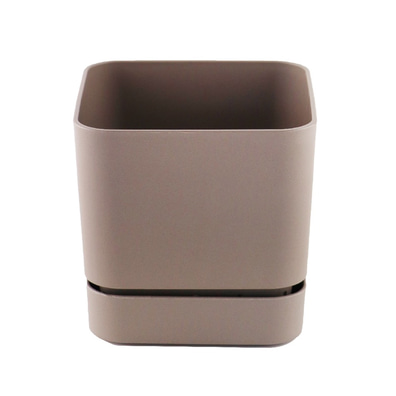 Begonya Kare Saksı Krem 13cm
