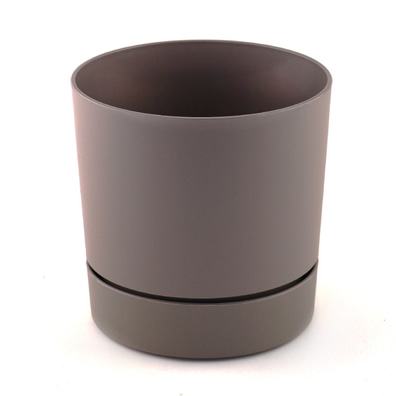 Begonya Saksı Krem 21cm