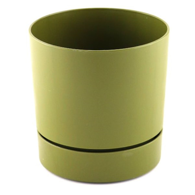 Begonya Saksı Y.Yeşil 9cm