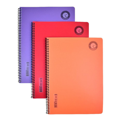 Çizgili Defter