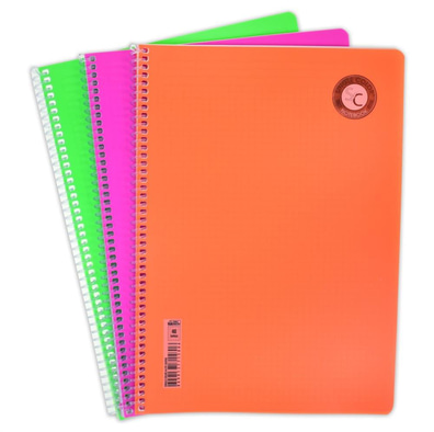 Çizgili Defter