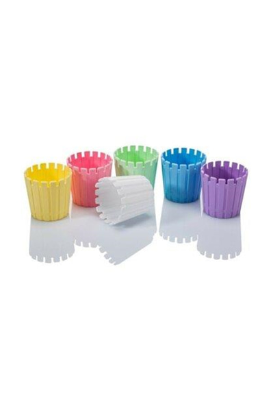 Kaktüs Saksı Pastel Mix 5,5