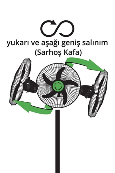 kiwi sanayi tipi