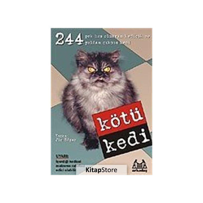 Kültür Kitapları