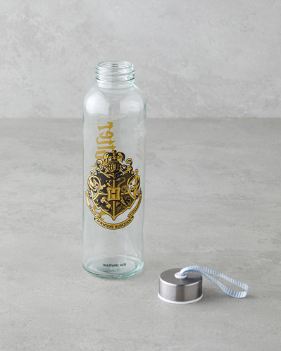 Harry Potter Cam Lisanslı Şişe 500 ml Renkli