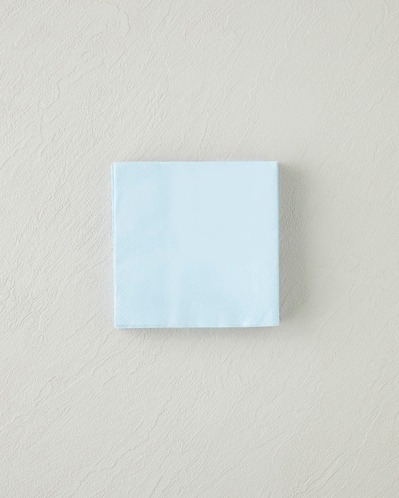Plaine Kağıt 20li Kağıt Peçete 24x24 cm Mavi