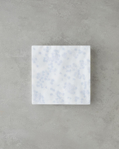 Bluvita 20li Kağıt Peçete 33x33 cm Mavi-Beyaz