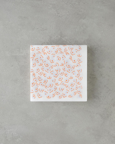 Colorisca 20li Kağıt Peçete 33x33 cm Renkli