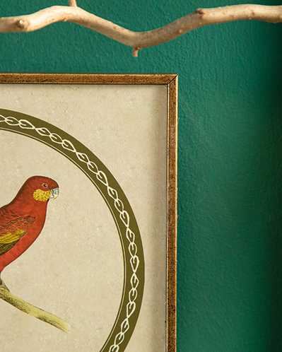 Parrot Tablo Kırmızı