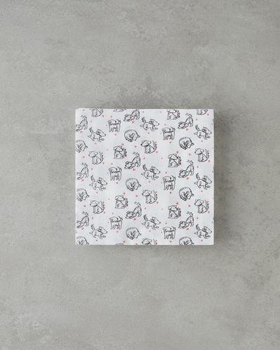 Pawzy 20li Kağıt Peçete 33x33 cm Renkli