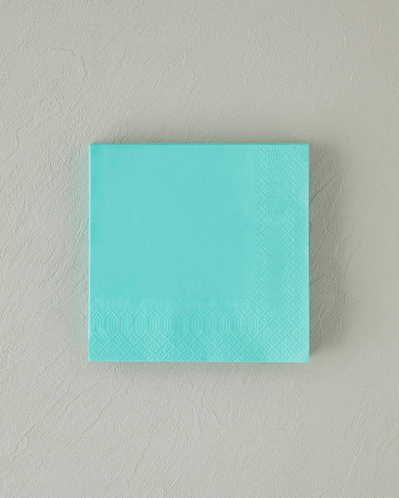Plain Elegance 20li Kağıt Peçete 33x33 cm Yeşil