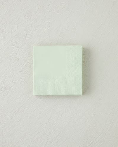 Plaine 20li Kağıt Peçete 24x24 cm Yeşil