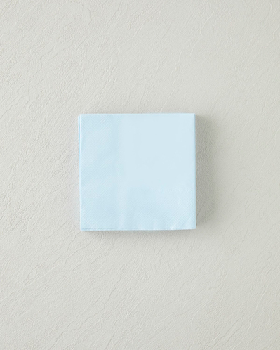 Plaine 20li Kağıt Peçete 24x24 cm Mavi