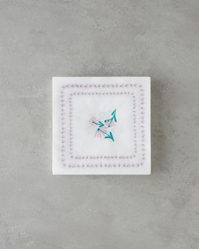 Pudlily 20li Kağıt Peçete 33x33 cm Renkli