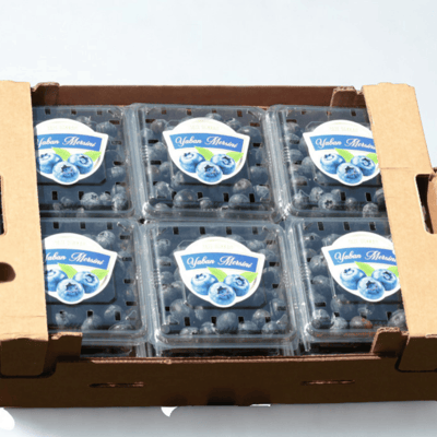 1.5 KG Taze Yaban Mersini Kutusu