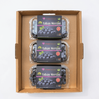 1.5 KG Taze Yaban Mersini Kutusu