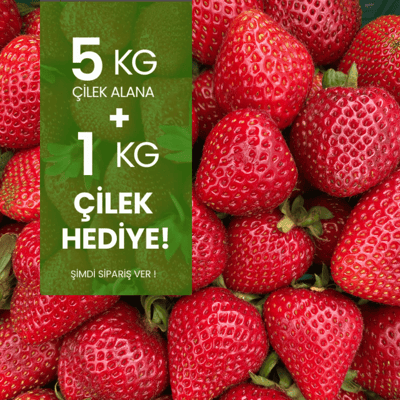 5 kg Çilek Alana 1 kg Hediye