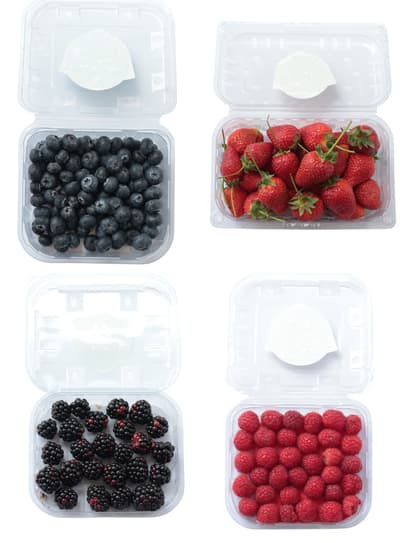 Dörtlü Orman Meyveleri Seti